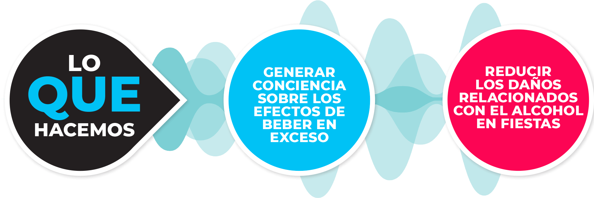 Lo que hacemos