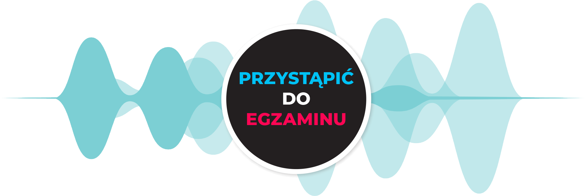 PRZYSTĄPIĆ DO EGZAMINU